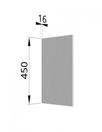 Панель торцевая (для шкафа горизонтального высокого) ВПГ Ройс (Графит софт) в Дорогино - dorogino.mebel54.com | фото